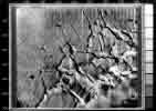 Лабиринт  на западной окраине Долины Маринера на Марсе. Поперечник снимка 400 км.
