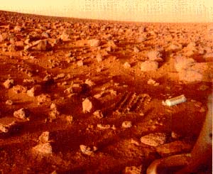 Участок поверхности Марса в месте посадки СА "Викинг 2". 